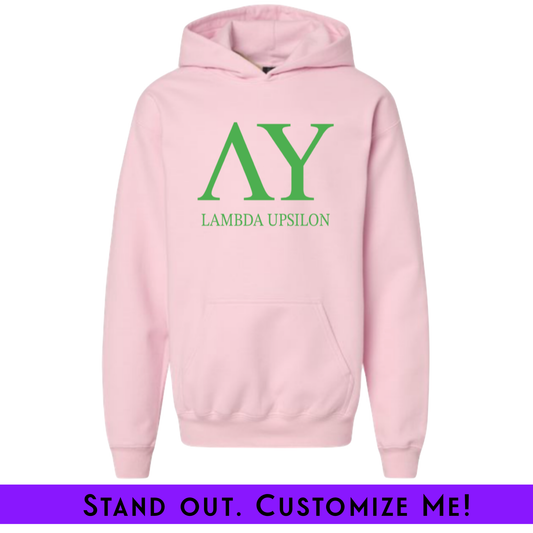 Embroidered Chapter Hoodie Pink | Free Shipping